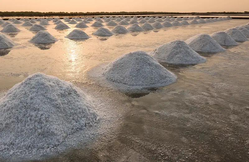 Salt from Caribbean Sea